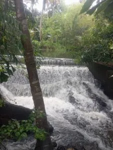 Alankulama Wana Resort - Alankulama