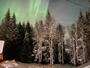 Bekkvang Fjøs Tiny House