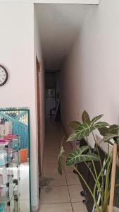 Casa Pra cop30 em Belém do Pará