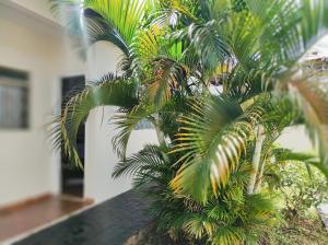 Quarto privativo no Bairro Santa Mônica