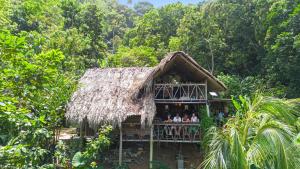 Finca La Selvita Chocolate experience