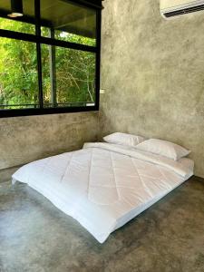 แคมป์โจนส์ แก่งกระจาน Camp Jones