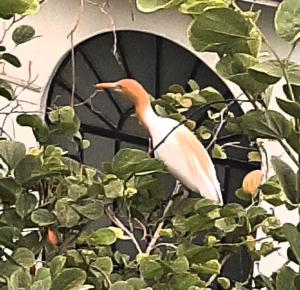 Varanasi River View Holiday Homestay Dormitory and Hostel