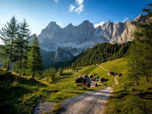 Apartment in Vorberg near Dachstein Glacier