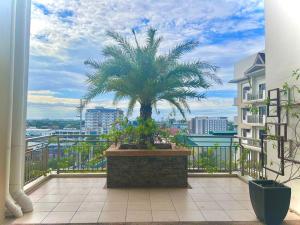 Calathea Luxe Atrium Suite