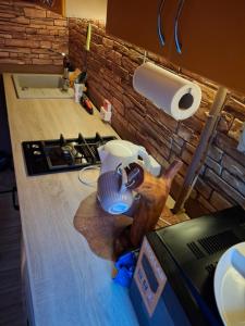 Jūrmala,Dubulti, Slokas 63 k-5, 10