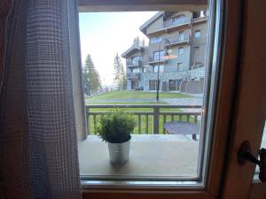 Appartements Les 7 laux immobilier chalet F : photos des chambres