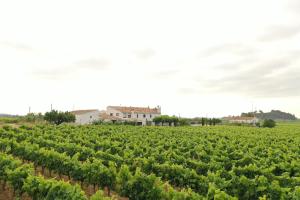 Soul Farm Mas els Igols