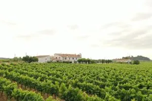 Soul Farm Mas els Igols - La Guardiola