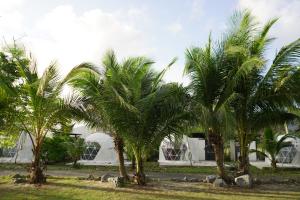 Patdra Glamping