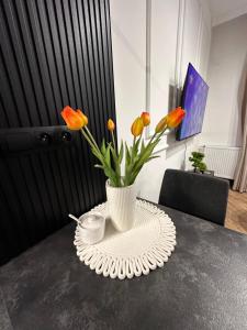 Apartament Z Ogrodem - Paderewskiego 22