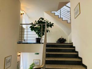 Penzion Hotelu Central