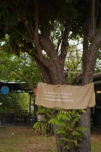 Patdra Glamping