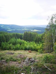 Hájenka Nebe-apartmán PODKROVÍ