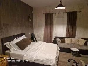 Casa Rahova Studio - 布勒伊拉