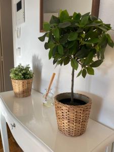 Apartamento en Getxo. Cercano al puerto viejo