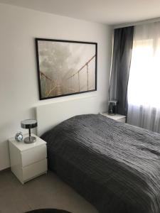 Ganzes Apartment in Bonn verkehrsgünstig, Bunsenstr 16, Bonn