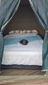 Oppi Hook Guest Lodge and Camping
