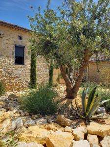 B&B / Chambres d'hotes Maison Reces : photos des chambres