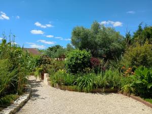 Maisons de vacances G1 les oliviers : photos des chambres