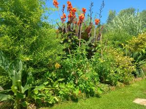 Maisons de vacances G1 les oliviers : photos des chambres