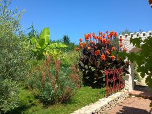 Maisons de vacances G1 les oliviers : photos des chambres