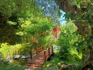 Maisons de vacances G1 les oliviers : photos des chambres