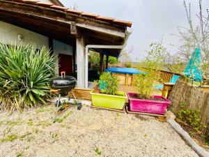Appartements Gite avec piscine a 5 minutes de CAHORS : photos des chambres