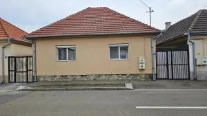 Casa Dacian 1 - Borş