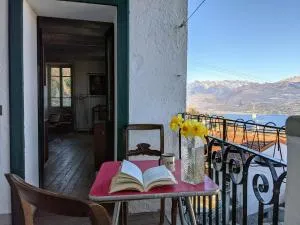 Ratto del Gallo 2 - Levo