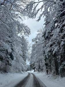 Kuća za odmor Petra