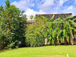 Casa Deliciosa, vista para montanha, WiFi, ar condicionado, quintal enorme!