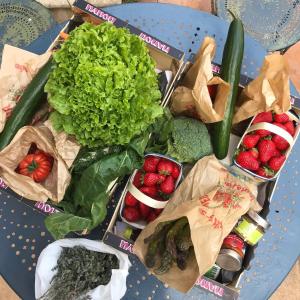 Le Jardinet vacances dans un coin de paradis au bord de la mer