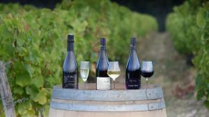 Tiny house sous le chene