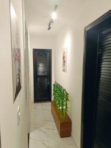 Casa Térrea Maravilhosa!04