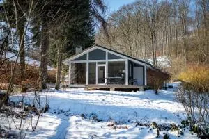 4 Personen mit Sauna F0H1 - Brotterode