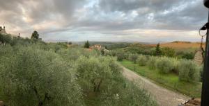 La Casa delle Rondini