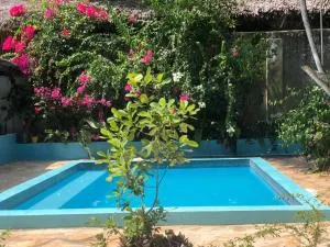 Secret Garden Beach Villa - Matemwe