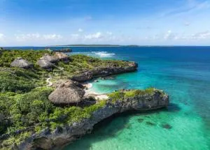 Bo'a Vida Rote - Nembrala