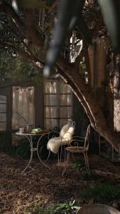 Maisons d'hotes La Potentille : photos des chambres