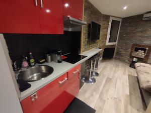 Appartements Studio les 2 Alpes au Village 1800m-Commerces et telesiege a 50m-Retour ski au pied : photos des chambres