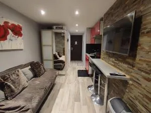 Studio les 2 Alpes au Village 1800m-Commerces et télésiège à 50m-Retour ski au pied - 于埃