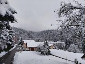 Appartements Gite du ruisseau : photos des chambres