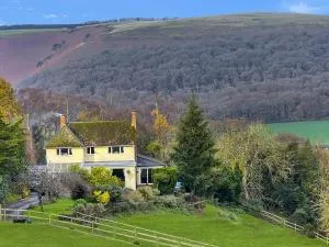 Backwoods Middlecome - Wootton Courtenay