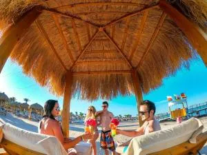 Romance Regency Club - 莎尔玛