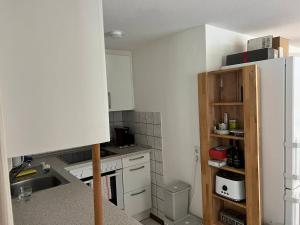 Bachrauschen im Dreisamtal