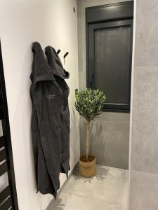 Maisons de vacances L -Echappee Boreale et son spa : photos des chambres