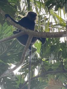 House Deli Tree hostel & homestay