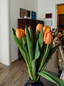 Lo Specchio dei Papiri