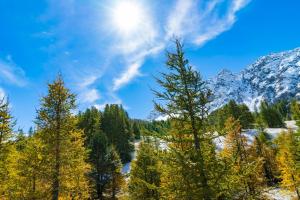 Chalets Beau chalet 15p - Abries - Parc naturel du Queyras : photos des chambres